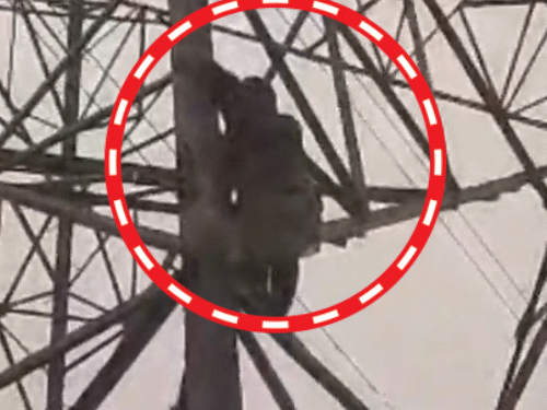 मेरठ में लड़की हाई-वोल्टेज टावर पर चढ़ी, VIDEO:बॉयफ्रेंड से शादी करने की जिद पर अड़ी, बोली- सोनू से शादी कराओगे, तभी नीचे उतरूंगी